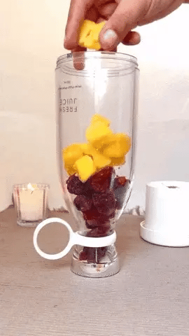 FabBlend™ Portable Juicer Blender